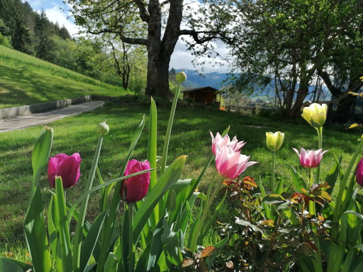 Hoerandlhof Aigen im Ennstal Eksteriør bilde